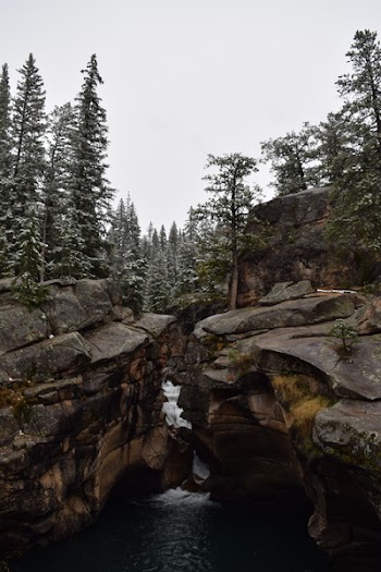 Photo of Rocky Mountains and Pine Trees