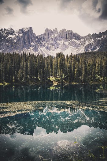 Photo of Rocky Mountains During Daytime