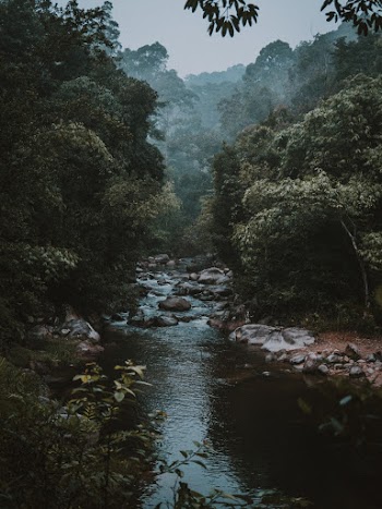 Photo of Rocky River