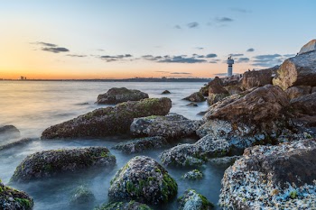 Photo of Rocky Shore During Dawn