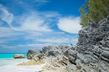 Photo of Rocky Shore During Daytime