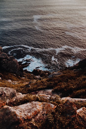 Photo Of Rocky Shore During Daytime