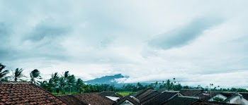 Photo of roofs