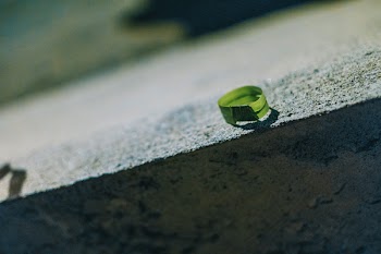 Photo of Round Green Leaf on Gray Concrete Bench
