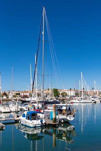 Photo of Sail Boats Docked on Marina