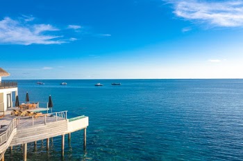 Photo Of Sea During Daytime