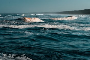 Photo Of Sea During Daytime