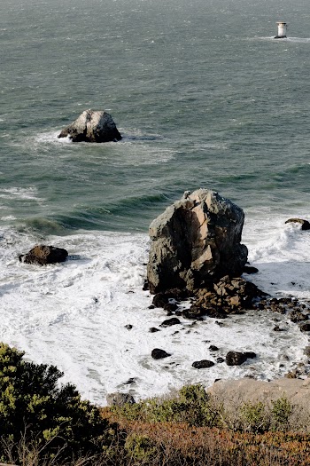 Photo Of Sea During Daytime