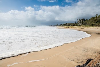 Photo of Sea Foam on Beach