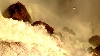 Photo of Sea Waves and Rocks