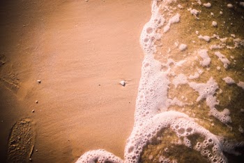 Photo of Seashore
