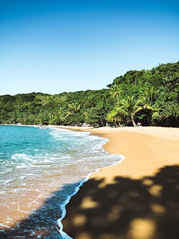 Photo of Seashore
