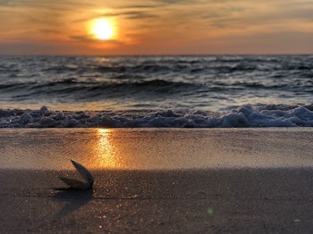 Photo of Seashore at Golden Hour