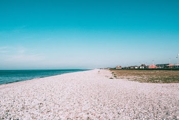 Photo of Seashore During Daytime