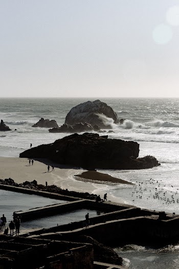Photo Of Seashore During Daytime