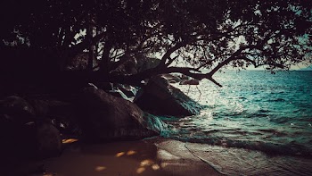 Photo Of Seashore During Daytime
