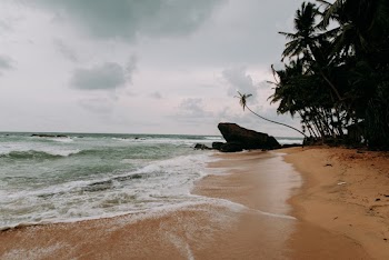 Photo Of Seashore During Daytime