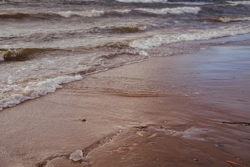 Photo Of Seashore During Daytime