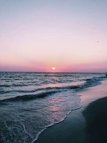 Photo of Seashore During Golden Hour