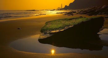 Photo Of Seashore During Sunset