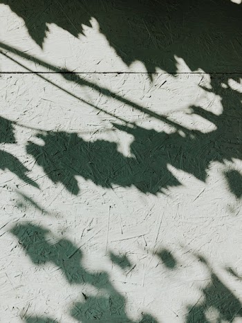 Photo of Shadows on Wall