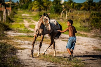Photo of Shirtless Boy Wearing Shorts Near Horse