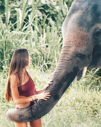 Photo of Smiling Woman in Swimsuit Wrapped in Elephants Trunk