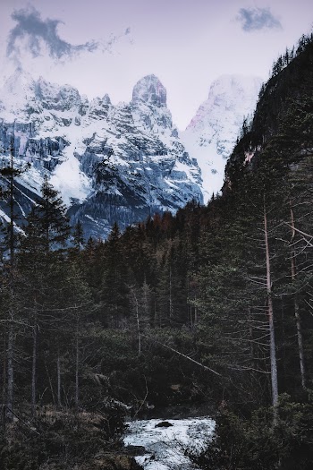 Photo of Snow Capped Mountains Near Forest