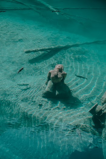 Photo of Statue Submerged in Lake