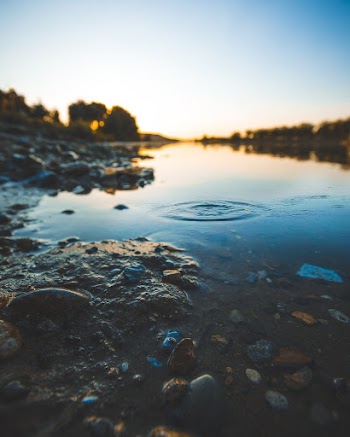 Photo Of Stones In Water