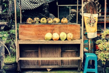 Photo of Store Selling Coconuts