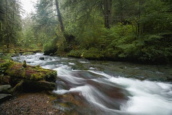 Photo of Stream of Water