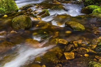 Photo of Streams