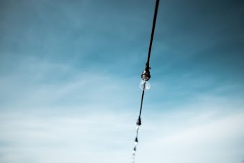 photo of string bulb light