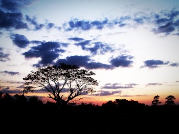 Photo of Sunset