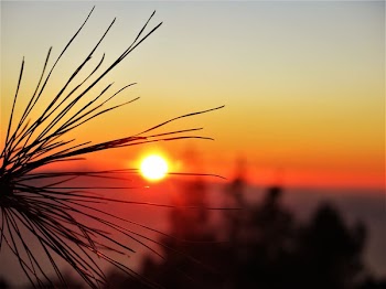 Photo of Sunset View