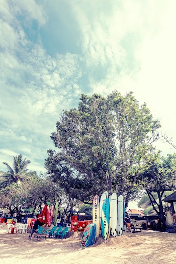 Photo of Surfboards Beside Tree
