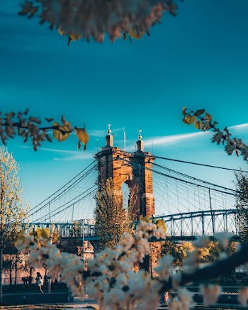 Photo of Suspension Bridge
