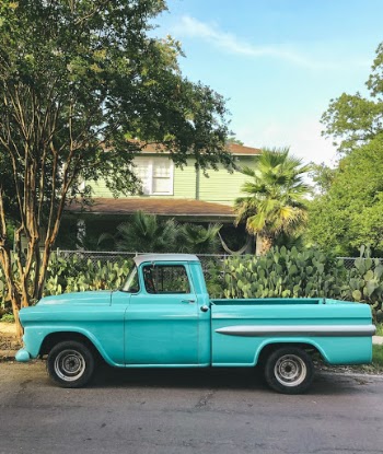 Photo of Teal Pickup Truck Near Plants