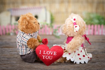Photo of Teddy Bears Sitting on Wood