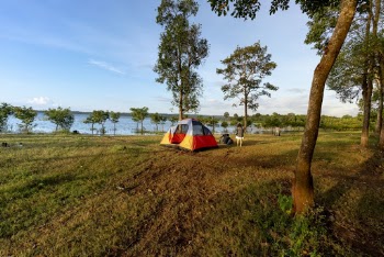 Photo Of Tent On Grass Field