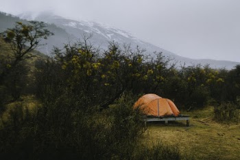 Photo of Tent Surrounded by Plants