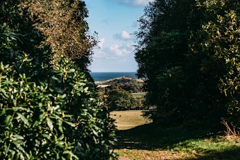 Photo of the Ocean in between Green Bushes
