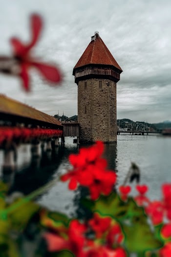 Photo Of Tower Near Waterfront