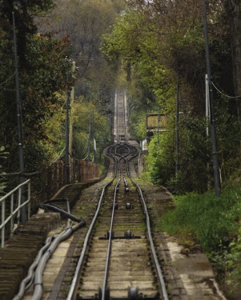 Photo of Train Track Near Trees
