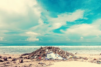 Photo of Trash Lot on Shore
