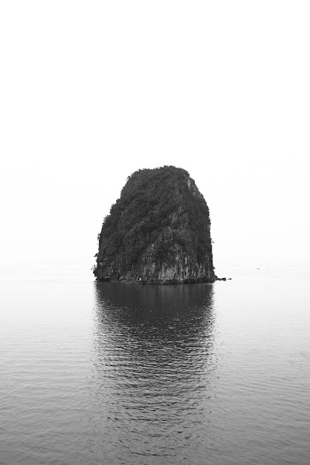 Photo of Tree Covered Island