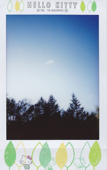 Photo Of Trees