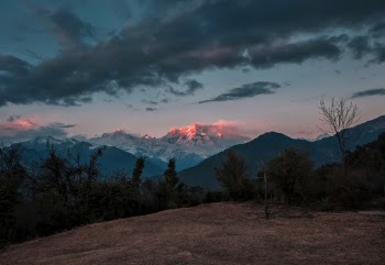 Photo of Trees Across Mountains