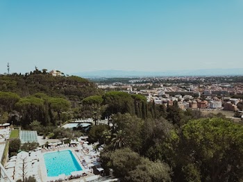 Photo of Trees Alongside the Swimming Pool